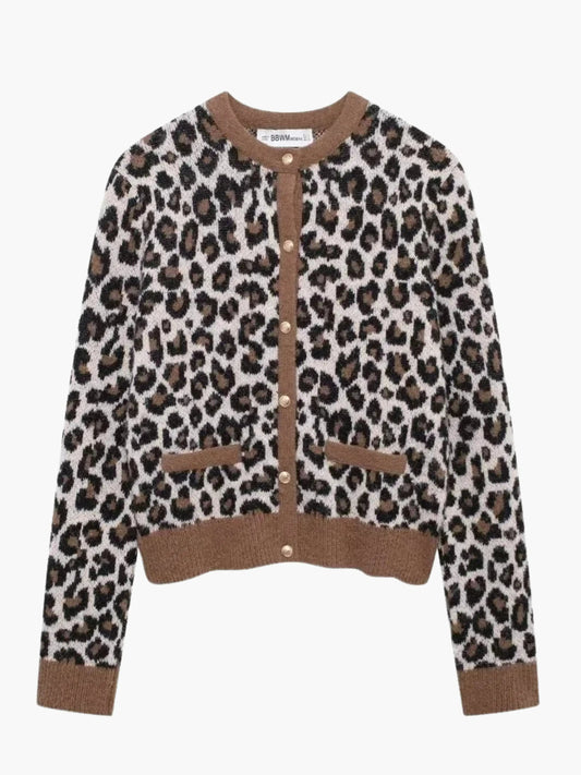 Women's Relaxed Leopard Print V-Neck Knit Cardigan