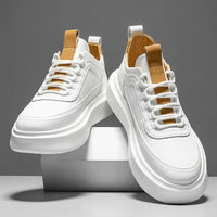 Blanc et marron