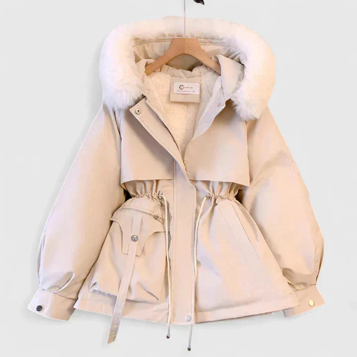 Women's Padded Wind & Water-Resistant Hooded Jacket