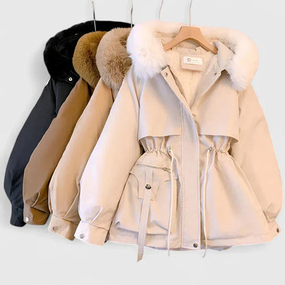 Women's Padded Wind & Water-Resistant Hooded Jacket